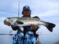 090802hasegawa_seabass1.jpg