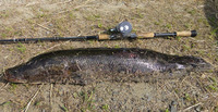 201205_01.jpg