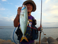 DSC00236.jpg