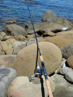 DSC00988.jpg