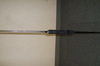 P1000711.JPG