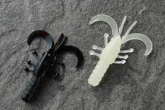 ROCKY SHRIMP ロッキーシュリンプ